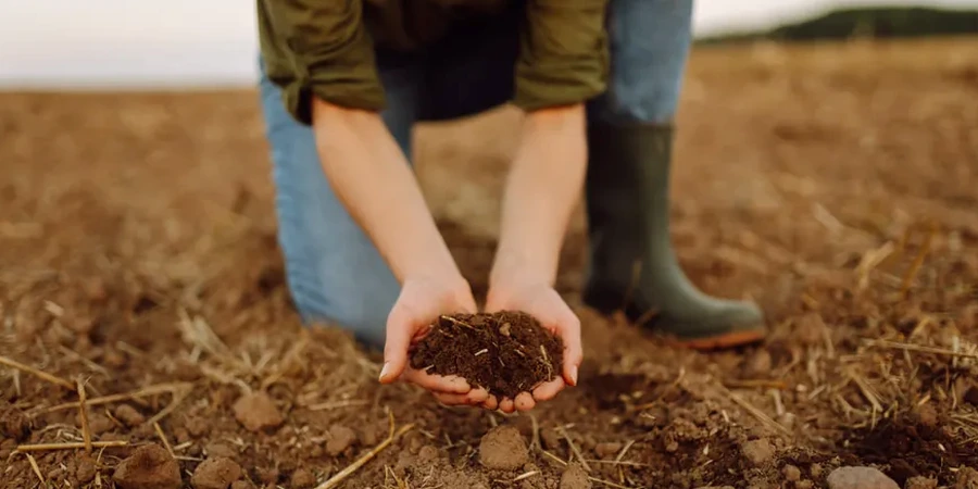 Imagen ilustrativa de Suelos organicos en La Coruna